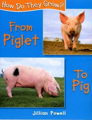 Book cover for Piglet to Pig