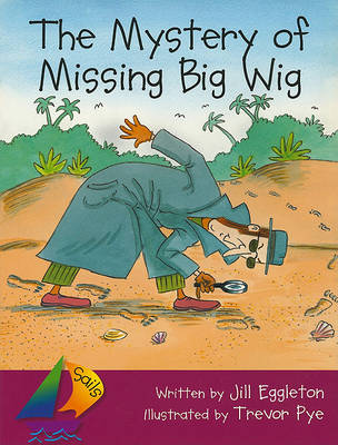 Cover of The Mystery of Missing Big Wig