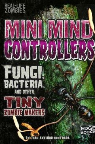 Cover of Mini Mind Controllers