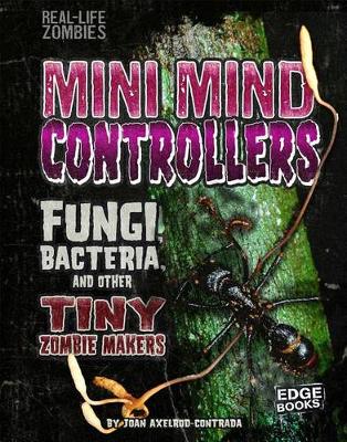 Cover of Mini Mind Controllers