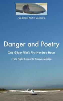 Book cover for Danger and Poetry