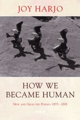 Cover of How We Became Human