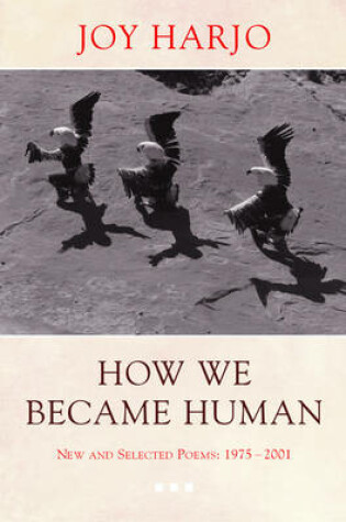 Cover of How We Became Human