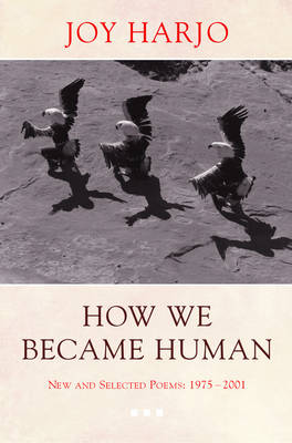 Book cover for How We Became Human