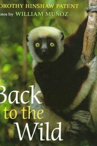 Cover of Back to the Wild