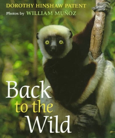 Book cover for Back to the Wild