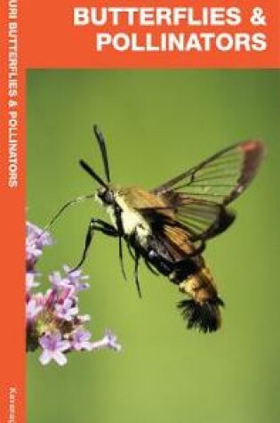 Cover of Missouri Butterflies & Pollinators