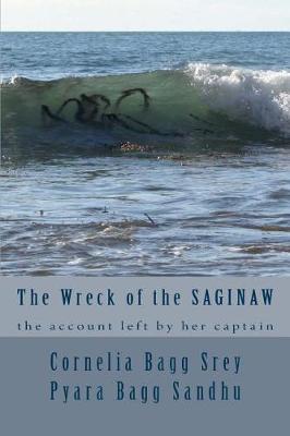 Cover of The Wreck of the Saginaw