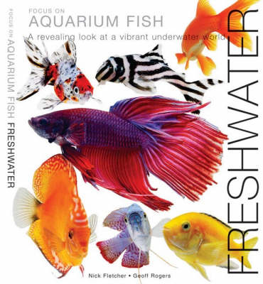Book cover for Focus on Aquarium Fish