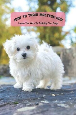 Cover of How To Train Maltese Dog