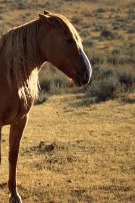 Cover of Journal Large Chestnut Equine Horse