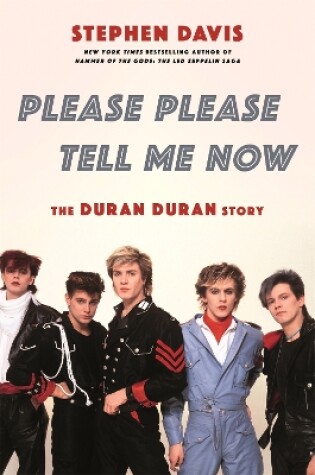 Cover of Please Please Tell Me Now