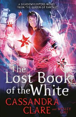 Book cover for The Lost Book of the White