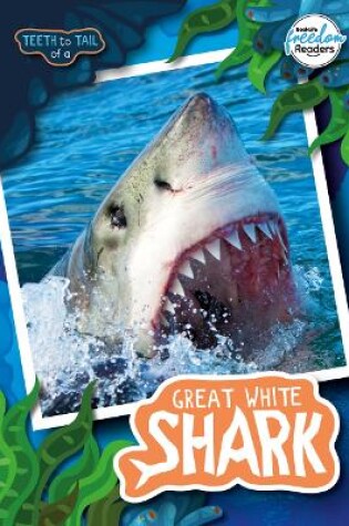Cover of Teeth to Tail of a Great White Shark