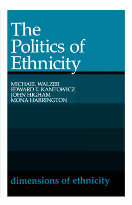 Book cover for The Politics of Ethnicity