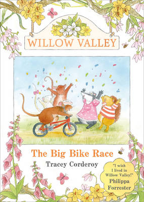 Book cover for The Big Bike Race