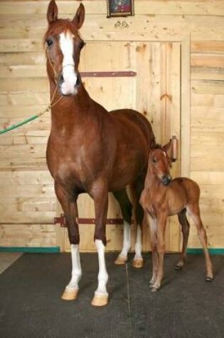 Cover of Horse and Foal Journal