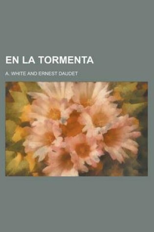 Cover of En La Tormenta