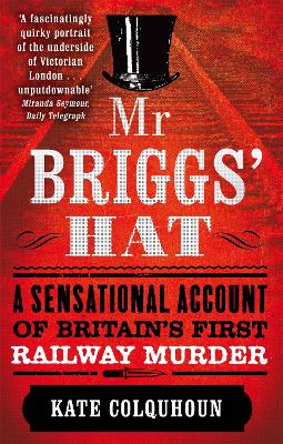 Book cover for Mr Briggs' Hat