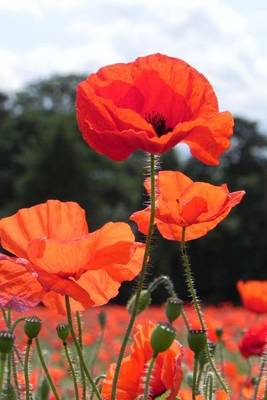 Book cover for Field of Orange Red Poppy Flowers (for the Love of Flowers)