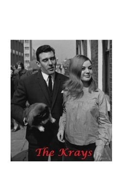 Book cover for The Krays