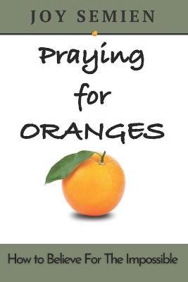 Book cover for Praying for Oranges