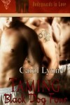 Book cover for Taming Black Dog Four