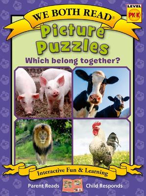 Book cover for Picture Puzzles