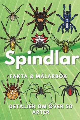 Cover of Spindlar