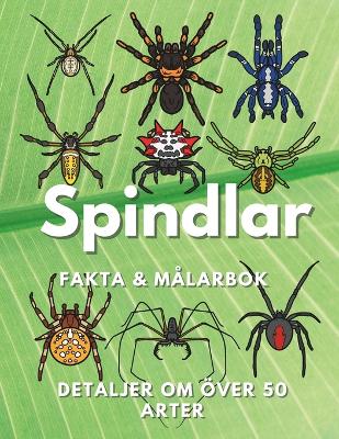 Book cover for Spindlar