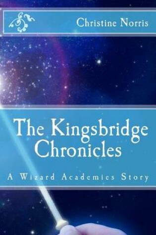 Cover of Wizard Academies