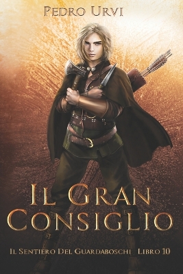 Book cover for Il Gran Consiglio