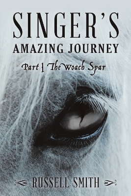 Book cover for Singer's Amazing Journey