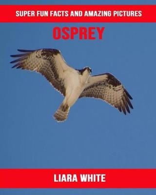 Book cover for Osprey