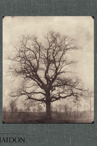 Cover of William Henry Fox Talbot