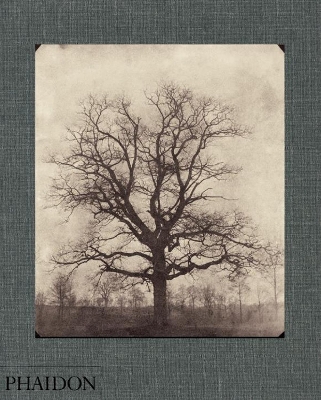 Cover of William Henry Fox Talbot