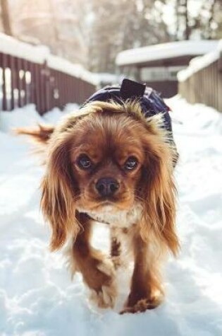 Cover of Spaniel Puppy Dog in the Snow