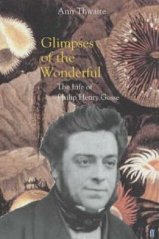 Cover of Glimpses of the Wonderful