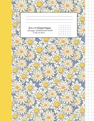 Book cover for 8,5 x 11 Graph Paper