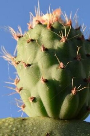 Cover of Prickly Pear Cactus Fruit in the Desert Journal