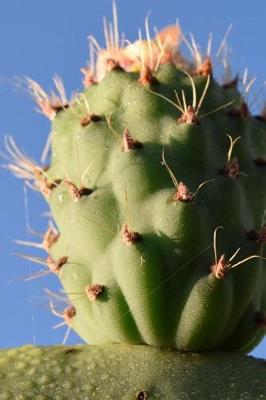 Book cover for Prickly Pear Cactus Fruit in the Desert Journal