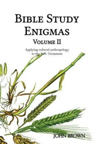 Cover of Bible Study Enigmas, Volume II