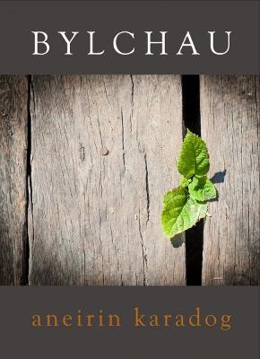 Book cover for Bylchau