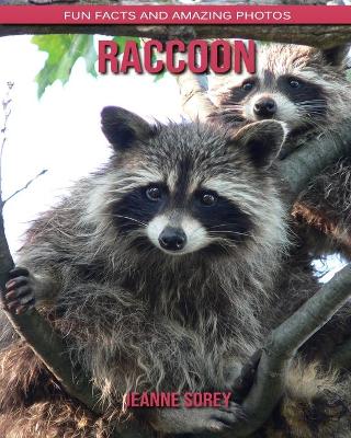 Book cover for Raccoon