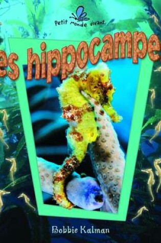 Cover of Les Hippocampes