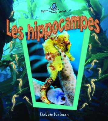 Book cover for Les Hippocampes