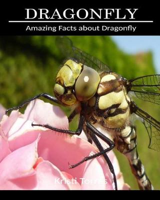 Book cover for Amazing Facts about Dragonfly