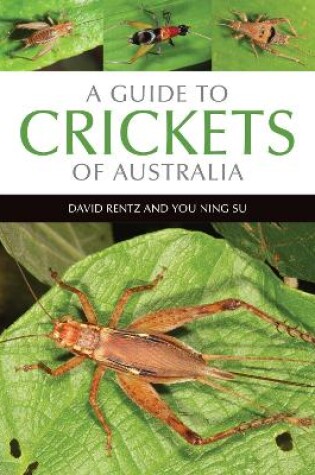 Cover of A Guide to Crickets of Australia