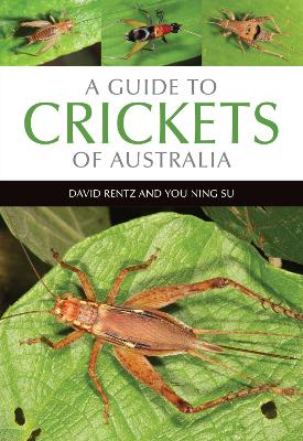 Book cover for A Guide to Crickets of Australia
