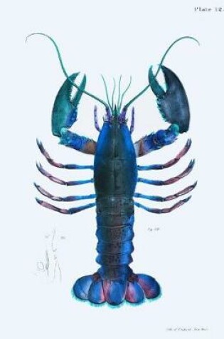 Cover of Blue Lobsters